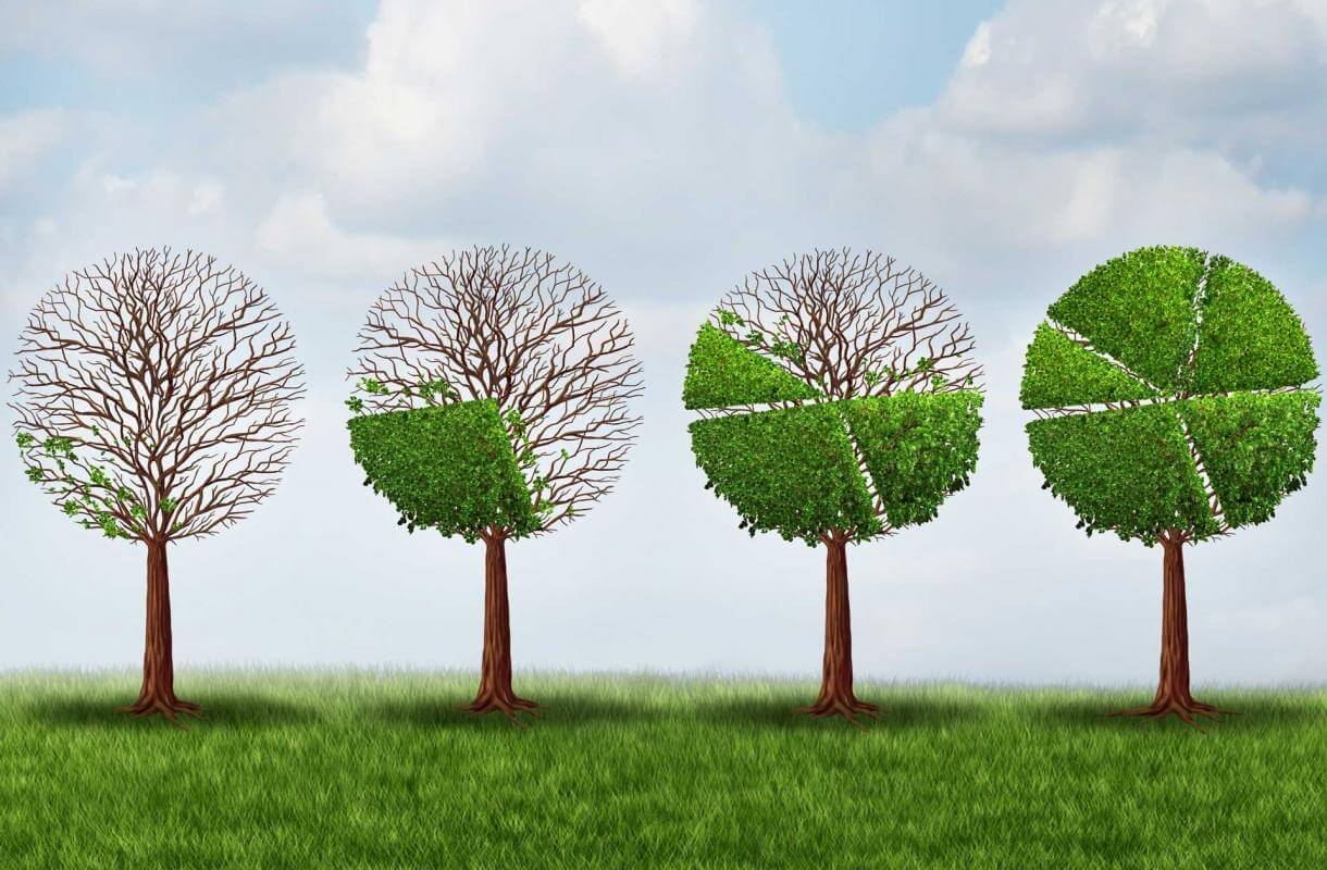 Illustration of a tree diagram for a paper written by an economics writing service